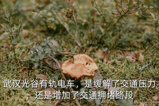 武漢車都有軌電車怎么沒建了,武漢光谷有軌電車