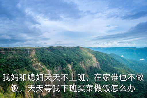 我媽和媳婦天天不上班，在家誰也不做飯，天天等我下班買菜做飯怎么辦
