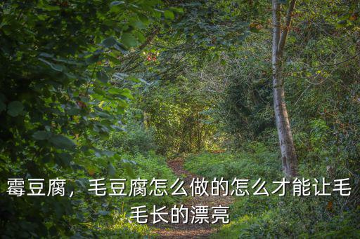 霉豆腐，毛豆腐怎么做的怎么才能讓毛毛長的漂亮