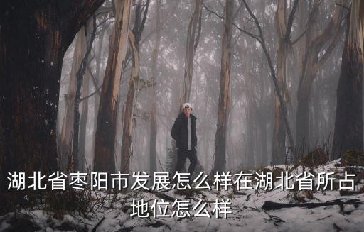 湖北宜都現在發展怎么樣,湖北枝江發展怎樣