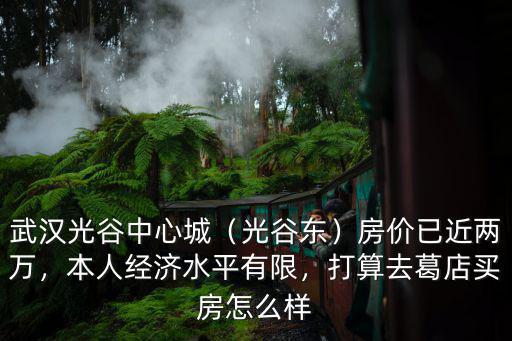 武漢光谷中心城（光谷東）房價已近兩萬，本人經(jīng)濟(jì)水平有限，打算去葛店買房怎么樣