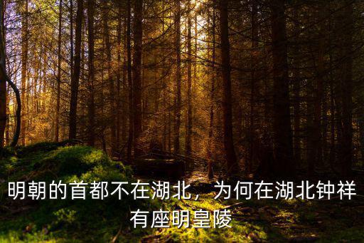 湖北鐘祥市發展得怎么樣,荊門市以后的發展怎么樣