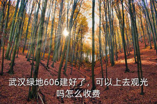武漢綠地606建好了，可以上去觀光嗎怎么收費(fèi)