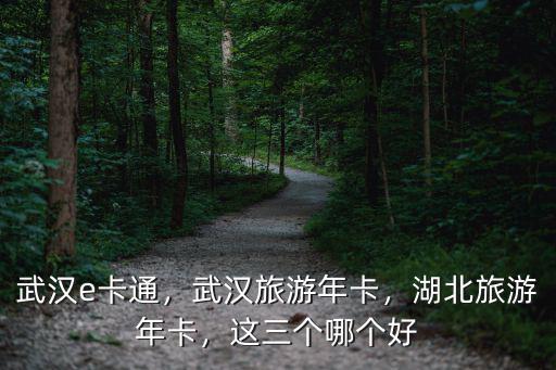 武漢e卡通，武漢旅游年卡，湖北旅游年卡，這三個哪個好