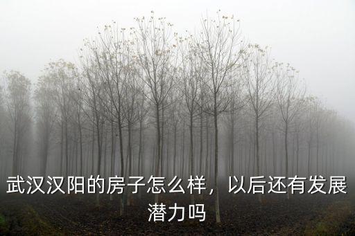 武漢漢陽(yáng)的房子怎么樣，以后還有發(fā)展?jié)摿? class=