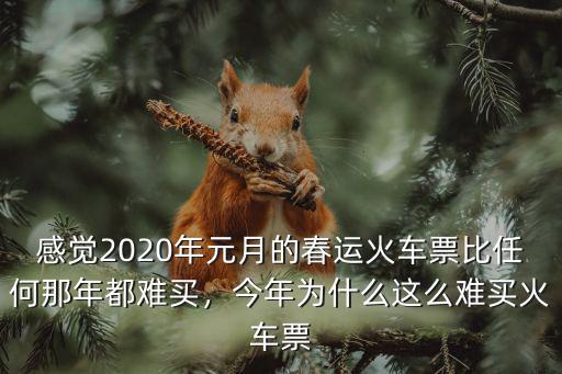 感覺2020年元月的春運(yùn)火車票比任何那年都難買，今年為什么這么難買火車票