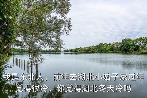我是東北人，前年去湖北小姑子家過年覺得很冷，你覺得湖北冬天冷嗎
