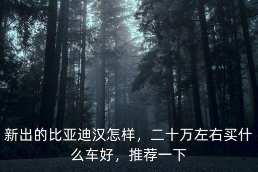 新出的比亞迪漢怎樣，二十萬(wàn)左右買什么車好，推薦一下