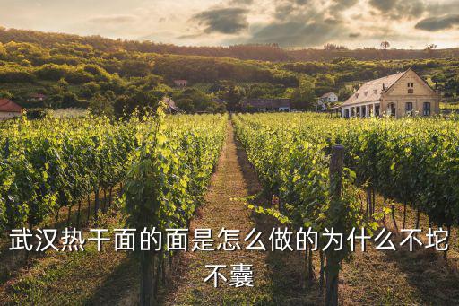 武漢熱干面條配方怎么做,麥子粉怎么做面條好吃