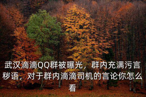 武漢滴滴QQ群被曝光，群內充滿污言穢語，對于群內滴滴司機的言論你怎么看