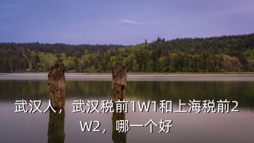武漢人，武漢稅前1W1和上海稅前2W2，哪一個好