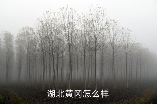 湖北黃岡怎么樣