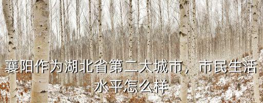 襄陽市小拇指怎么樣,襄陽市規(guī)劃建設(shè)四個(gè)襄陽