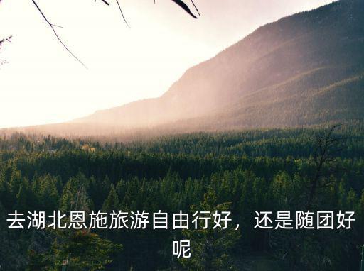 去湖北恩施旅游自由行好，還是隨團好呢