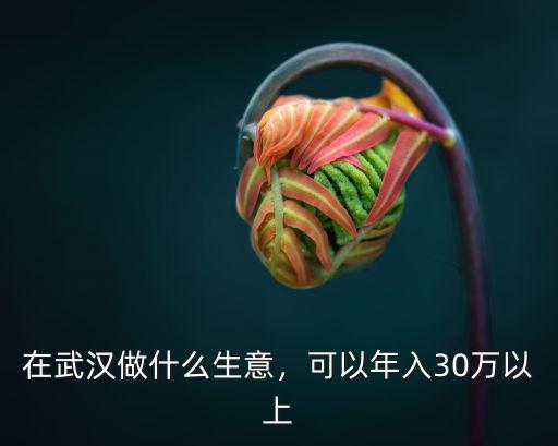 在武漢做什么生意，可以年入30萬以上