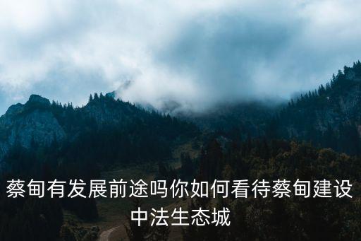 蔡甸有發展前途嗎你如何看待蔡甸建設中法生態城
