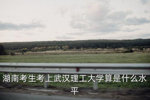 湖南考生考上武漢理工大學算是什么水平