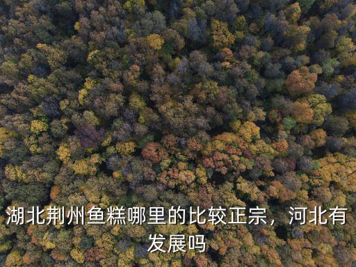 湖北荊州魚糕哪里的比較正宗，河北有發展嗎