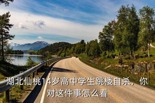 湖北仙桃14歲高中學生跳樓自殺，你對這件事怎么看