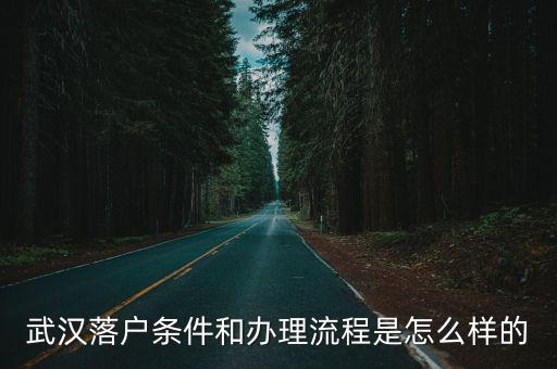 武漢落戶條件和辦理流程是怎么樣的
