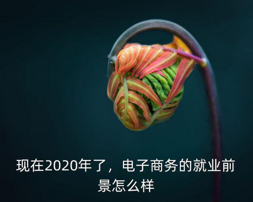 武漢盈量電子商務上班怎么樣,上技校學電子商務怎么樣