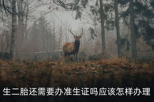 生二胎還需要辦準生證嗎應該怎樣辦理