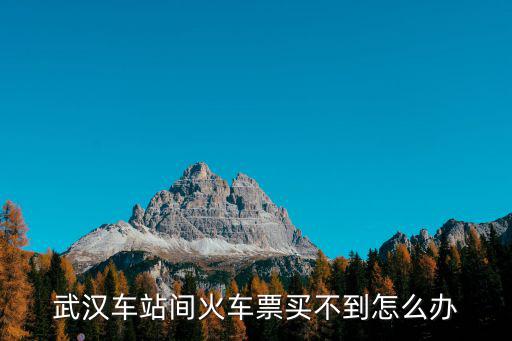 武漢車(chē)站間火車(chē)票買(mǎi)不到怎么辦