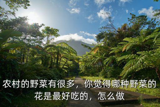 農(nóng)村的野菜有很多，你覺得哪種野菜的花是最好吃的，怎么做