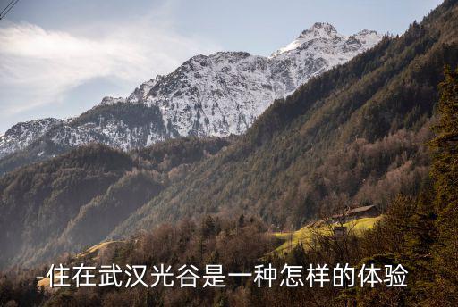 住在武漢光谷是一種怎樣的體驗