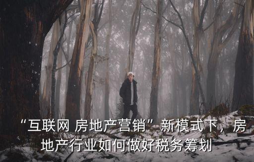 “互聯(lián)網(wǎng) 房地產(chǎn)營銷”新模式下，房地產(chǎn)行業(yè)如何做好稅務(wù)籌劃