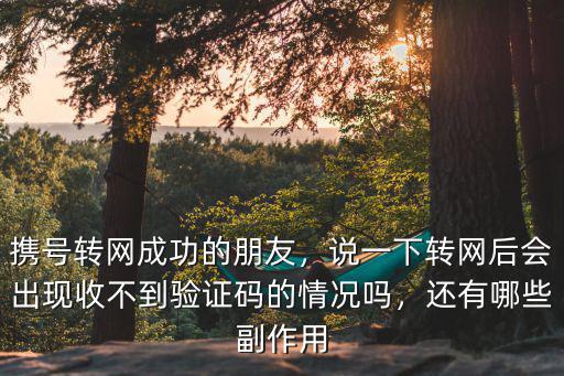 攜號轉網成功的朋友，說一下轉網后會出現收不到驗證碼的情況嗎，還有哪些副作用