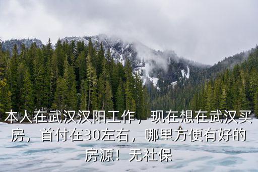 本人在武漢漢陽工作，現在想在武漢買房，首付在30左右，哪里方便有好的房源！無社保