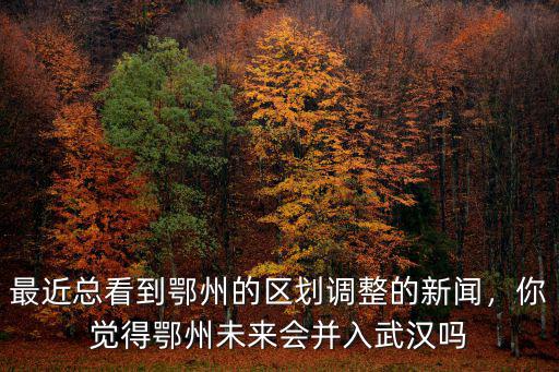 未來的鄂州市會怎么樣,湖北省鄂州的發展前景怎么樣