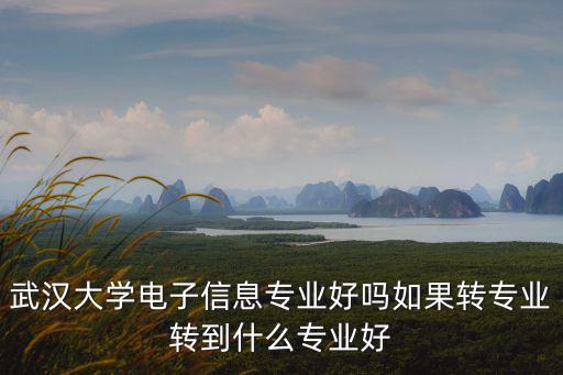 武漢大學電子信息專業(yè)好嗎如果轉專業(yè)轉到什么專業(yè)好