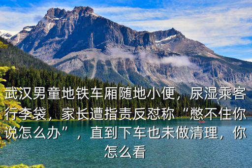 武漢男童地鐵車廂隨地小便，尿濕乘客行李袋，家長(zhǎng)遭指責(zé)反懟稱“憋不住你說怎么辦”，直到下車也未做清理，你怎么看
