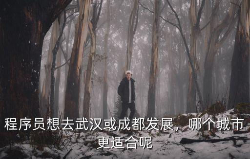 程序員想去武漢或成都發(fā)展，哪個(gè)城市更適合呢