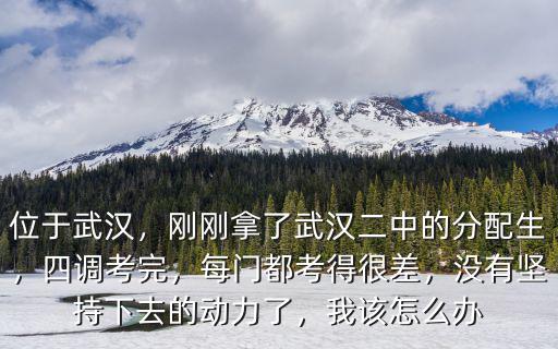 位于武漢，剛剛拿了武漢二中的分配生，四調考完，每門都考得很差，沒有堅持下去的動力了，我該怎么辦