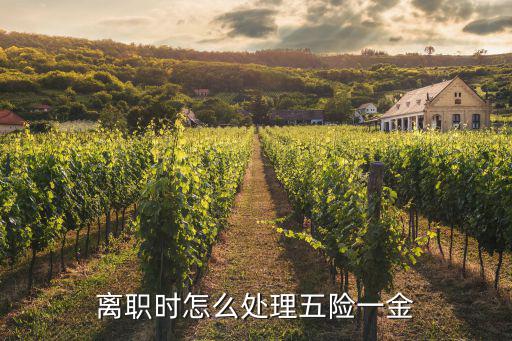 離開(kāi)武漢 五險(xiǎn)一金怎么處理,離職時(shí)怎么處理五險(xiǎn)一金
