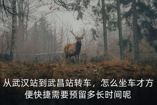 武漢站怎么送人乘車(chē),怎么坐車(chē)才方便快捷