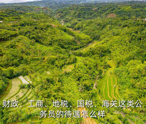 財政、工商、地稅、國稅、海關這類公務員的待遇怎么樣