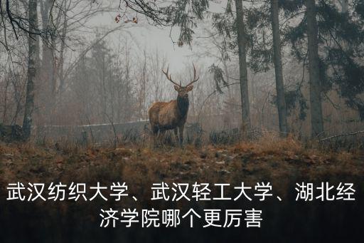 武漢紡織大學、武漢輕工大學、湖北經(jīng)濟學院哪個更厲害