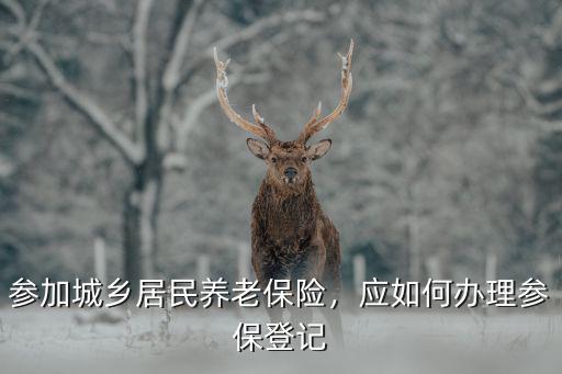 參加城鄉居民養老保險，應如何辦理參保登記