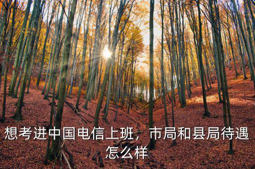 想考進中國電信上班，市局和縣局待遇怎么樣
