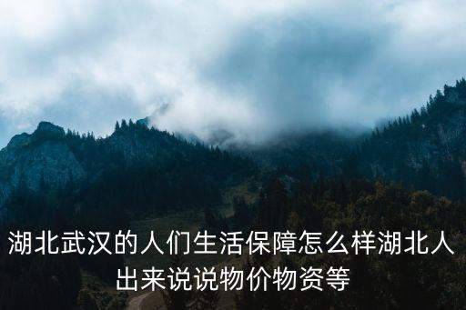 人在湖北怎么發(fā)說(shuō)說(shuō),湖北人出來(lái)說(shuō)說(shuō)物價(jià)物資等