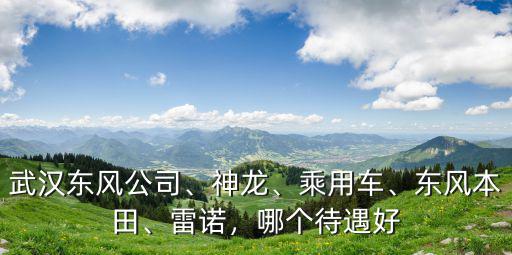 武漢東風公司、神龍、乘用車、東風本田、雷諾，哪個待遇好