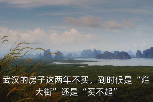 武漢的房子這兩年不買，到時候是“爛大街”還是“買不起”
