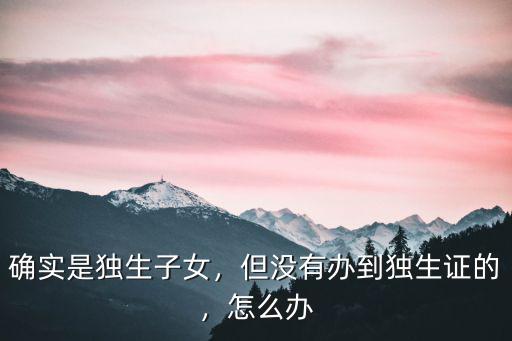 湖北沒(méi)辦獨(dú)生子女證的怎么辦,但沒(méi)有辦到獨(dú)生證的