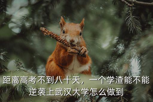 距離高考不到八十天，一個(gè)學(xué)渣能不能逆襲上武漢大學(xué)怎么做到