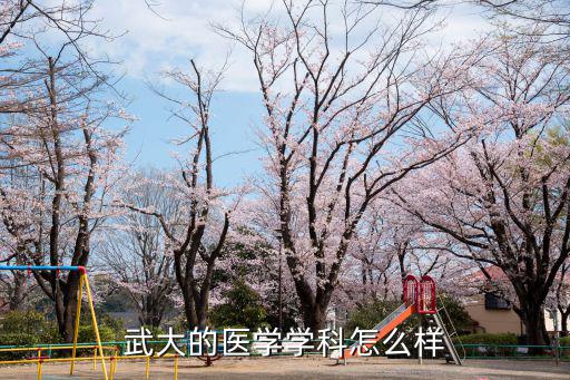 武大的醫學學科怎么樣