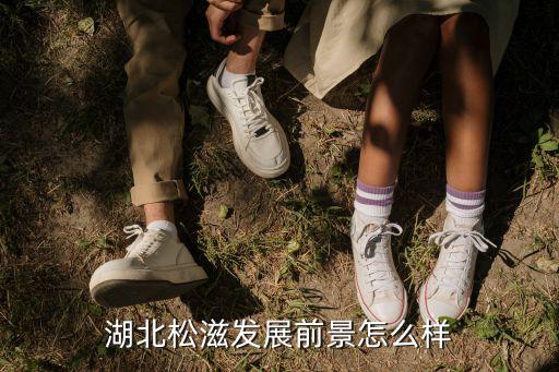 湖北松滋發展前景怎么樣